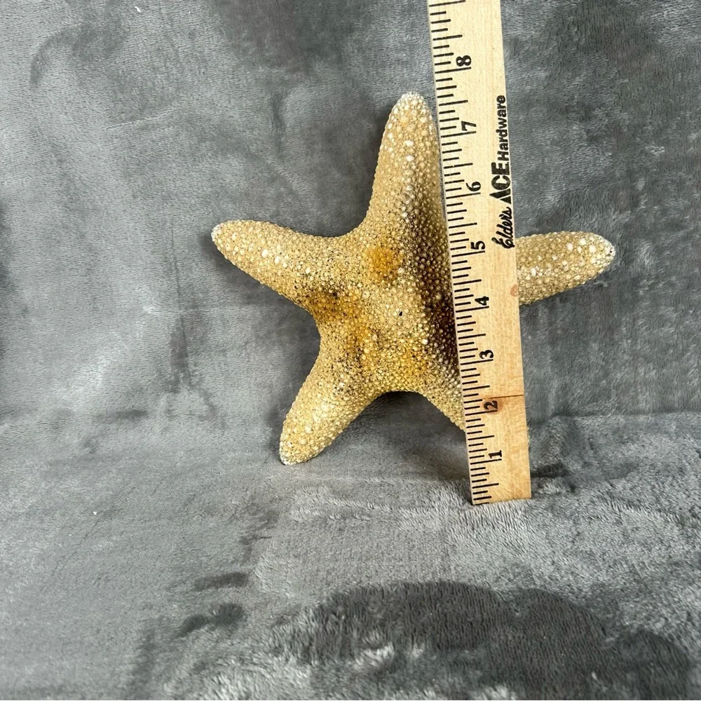 Natural Dried Starfish Decor Coastal Beach Home Accent Large 8” Patrick Nautical